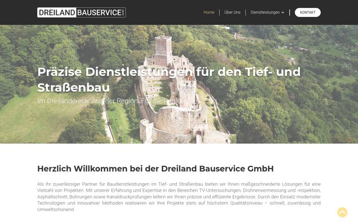 Ekrānuzņēmums no dreiland-bauservice.de