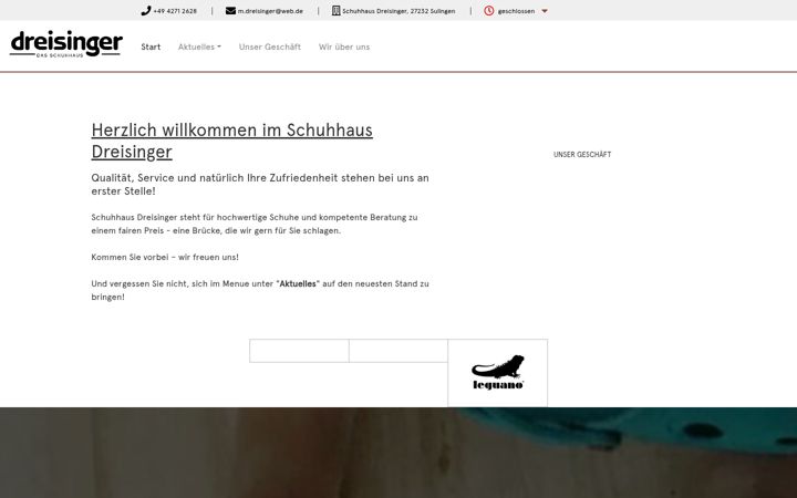 Screenshot of dreisinger.de