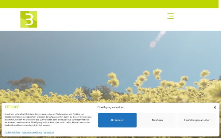 Screenshot of dreisinn.de