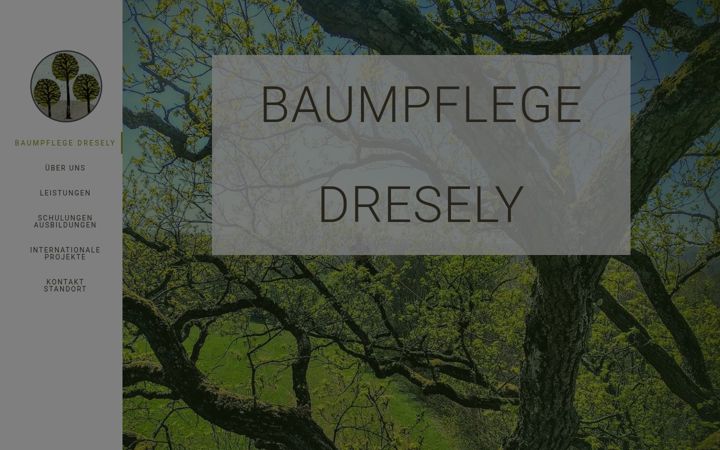 Screenshot of dresely-baumpflege.de