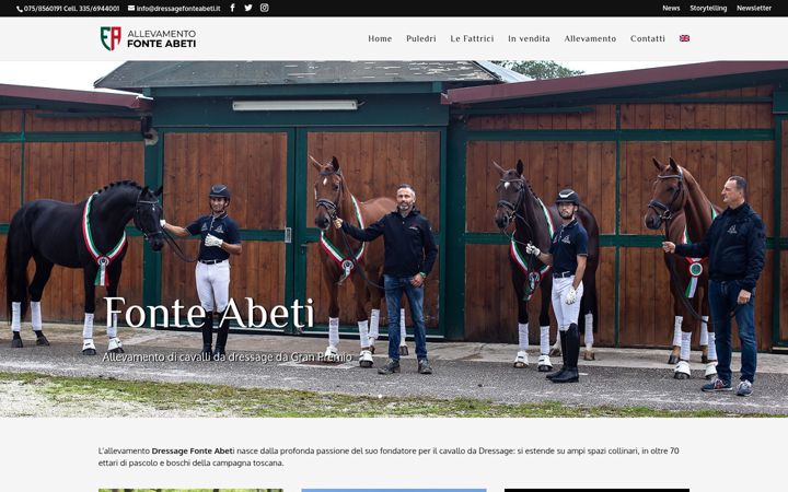 Screenshot of dressagefonteabeti.it