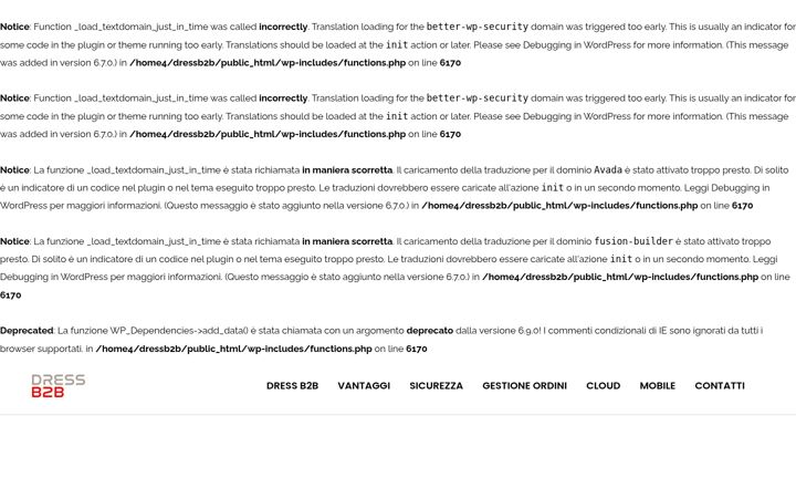 Screenshot of dressb2b.it