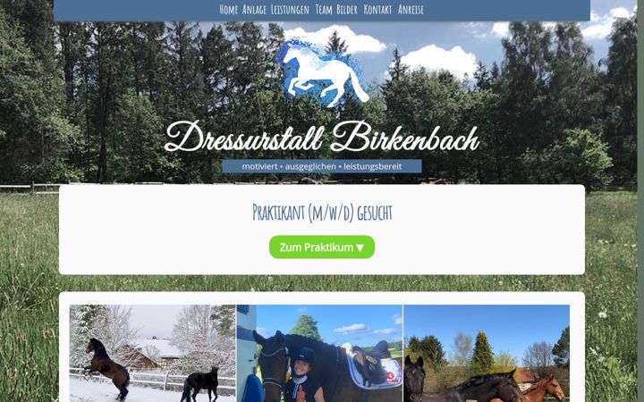 Screenshot of dressurstall-birkenbach.de