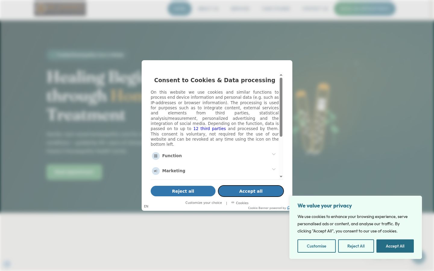 Screenshot of the consent banner shown before any interaction