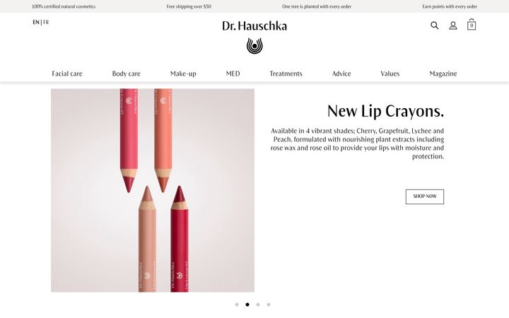 Skjámynd af drhauschka.ca