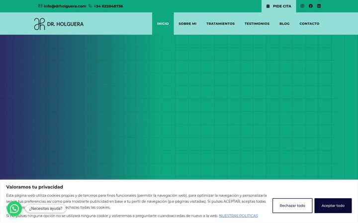 Screenshot of drholguera.com