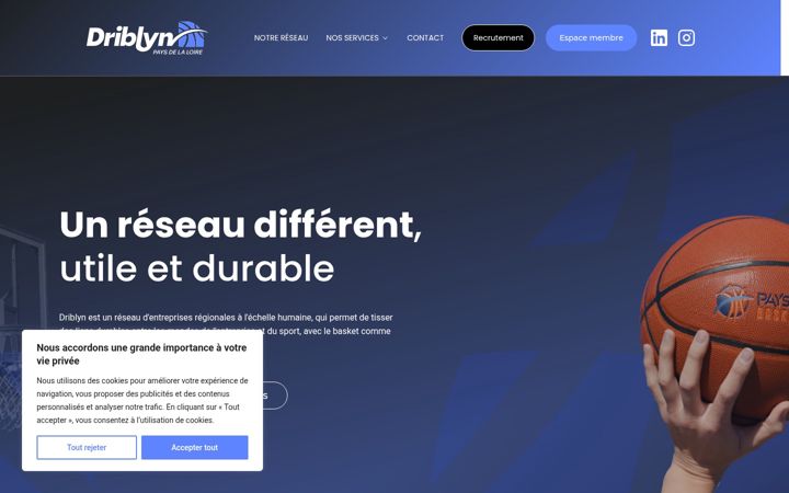 Screenshot of driblyn.fr