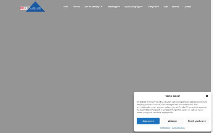 Screenshot of driehoekmakelaardij.nl