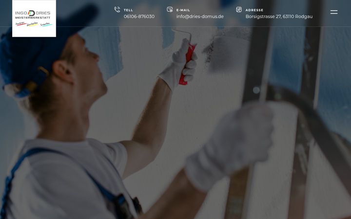 Zrzut ekranu dries-domus.de
