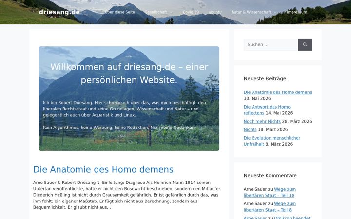 Screenshot of driesang.de