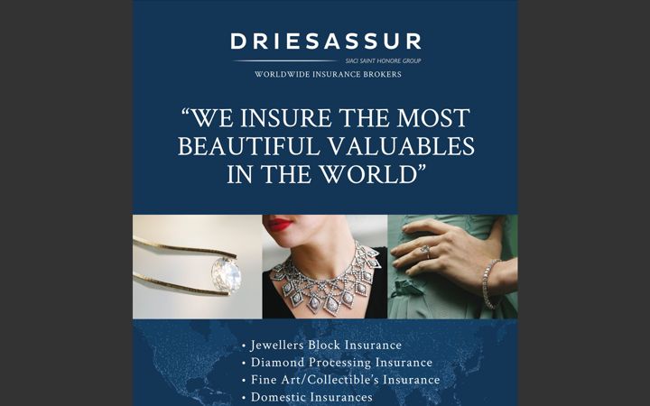 Screenshot of driesassurafrica.co.za