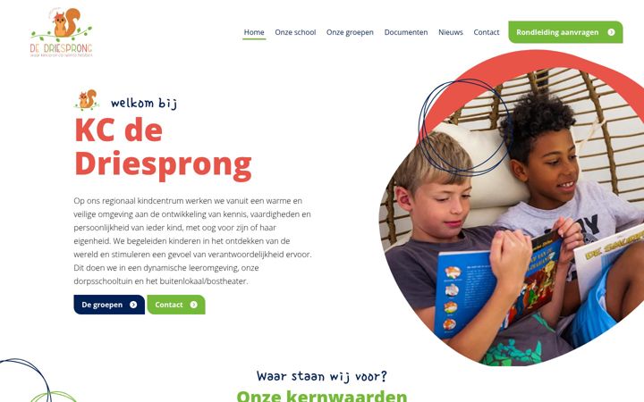 Ekrano kopija driesprong.eu