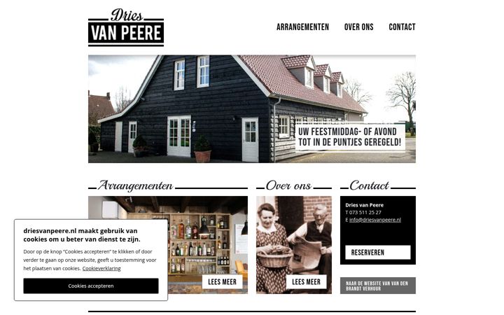 Screenshot di driesvanpeere.nl
