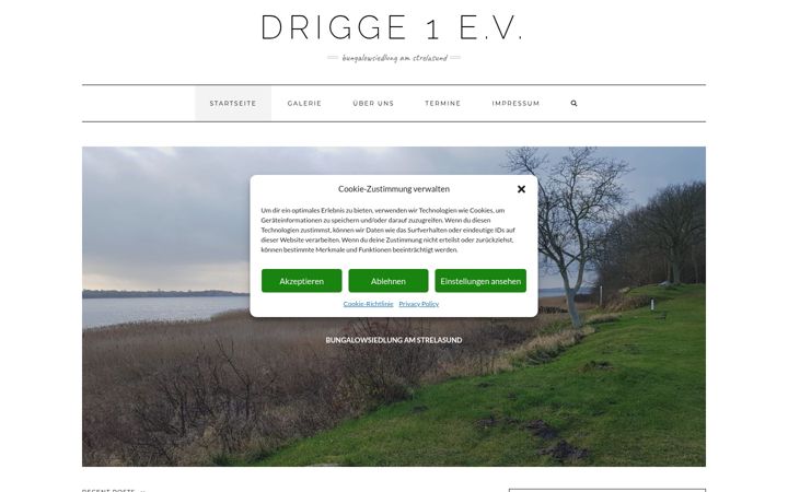 Screenshot of drigge1.com