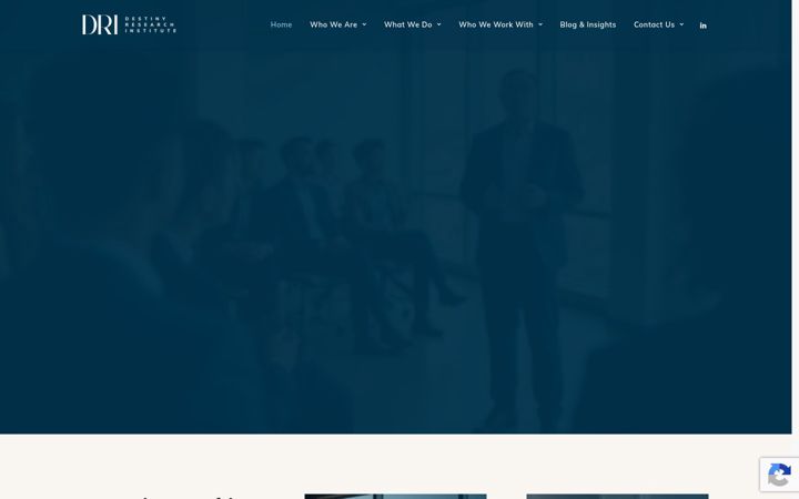 Screenshot of drihk.com