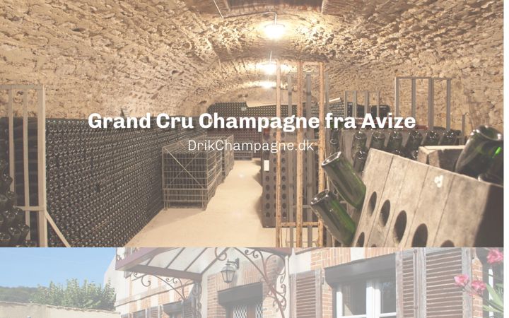 Skjermbilde av drikchampagne.dk