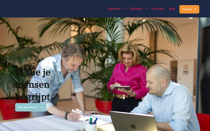 Screenshot di drimetis.nl