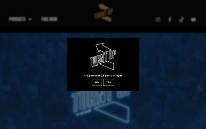 Snímek obrazovky drinkturntup.com