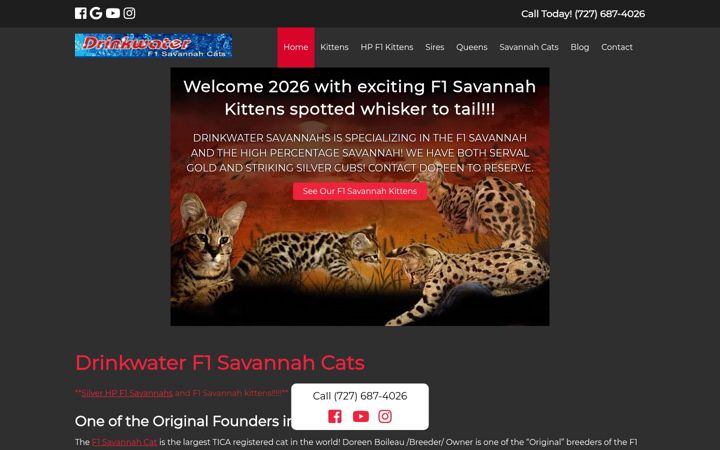 Screenshot of drinkwatercats.com