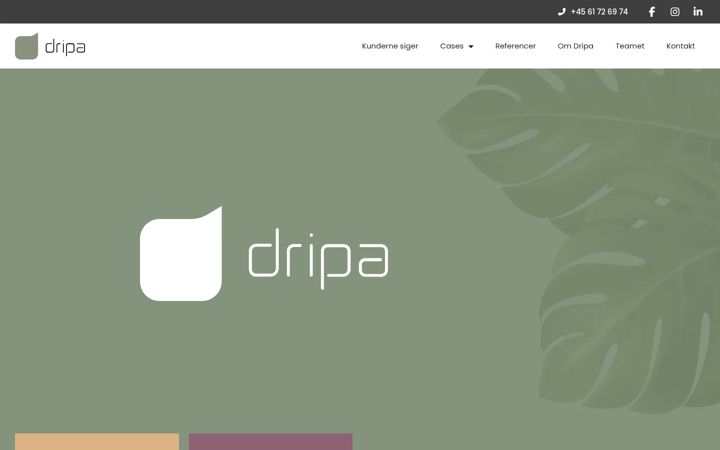 Screenshot του dripa.dk