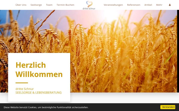 Screenshot of dritteschnur.de