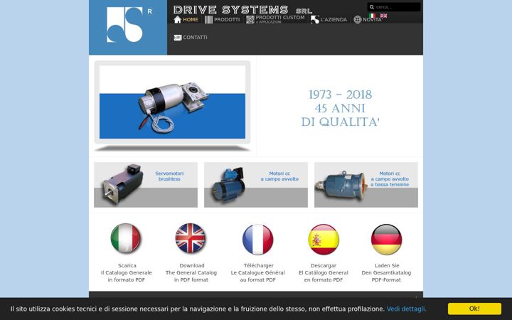 Screenshot of drive-systems.it