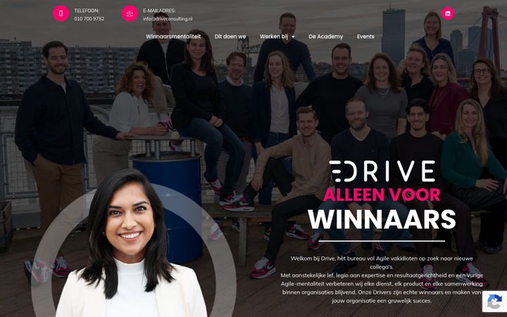 Screenshot di driveconsulting.nl