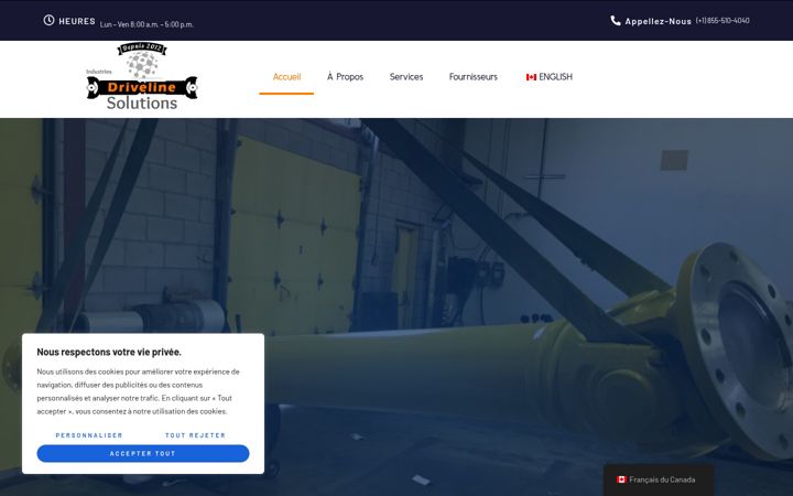 Screenshot of drivelinesolutions.com