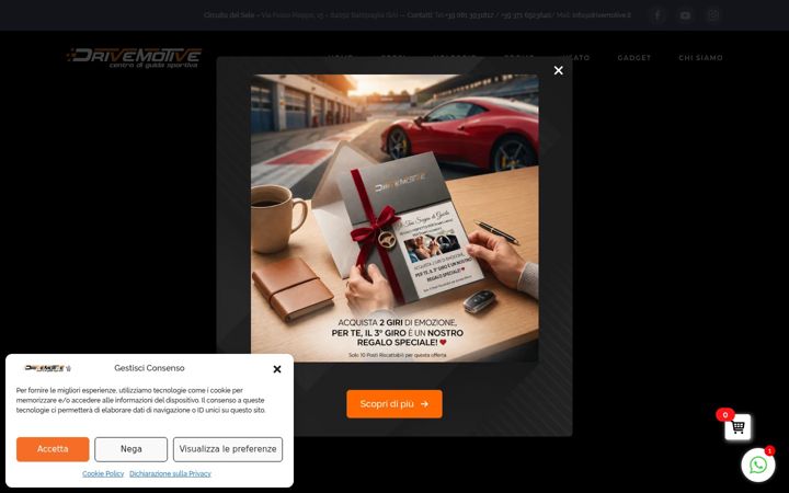 Screenshot of drivemotive.it