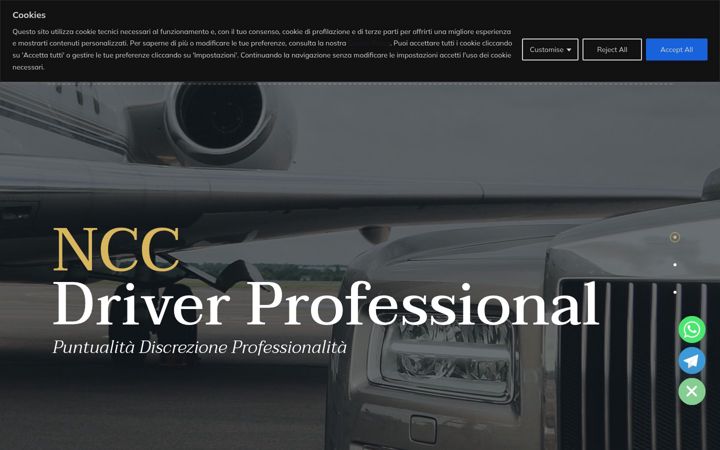 Screenshot of driverprofessional.it