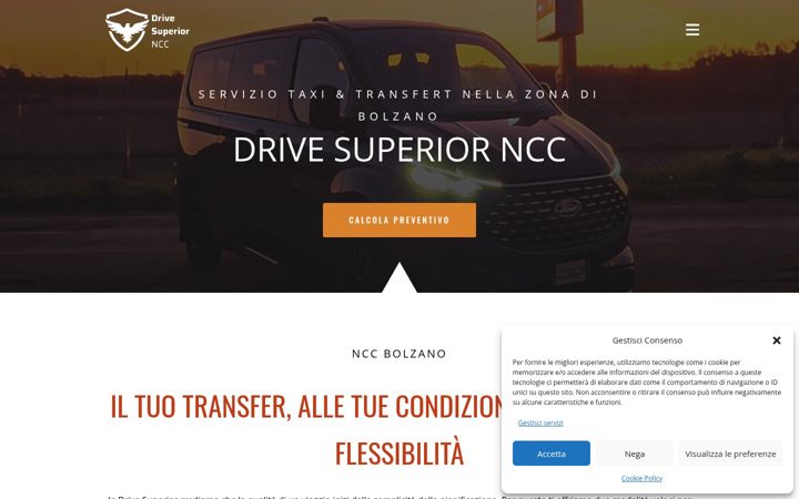 Screenshot of drivesuperior.it