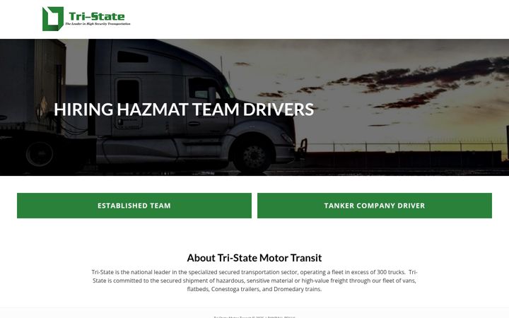 Screenshot of drivewithtsmt.com