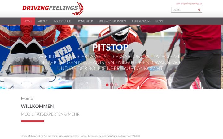 Screenshot of driving-feelings.de