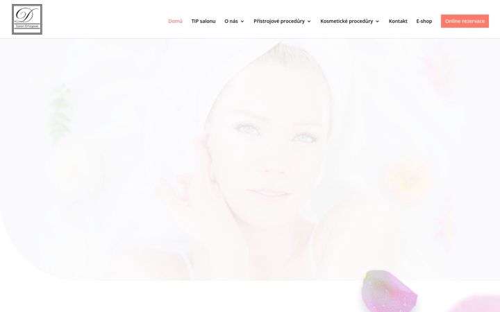 Screenshot ta' drizgova.cz