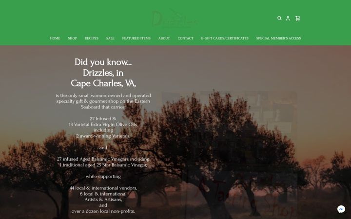 Screenshot stránky drizzlesllc.com