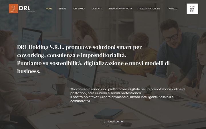 Screenshot of drlholding.it