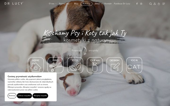 Kuvakaappaus sivustosta drlucy.pl