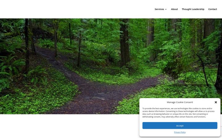 Screenshot of drmosk.com