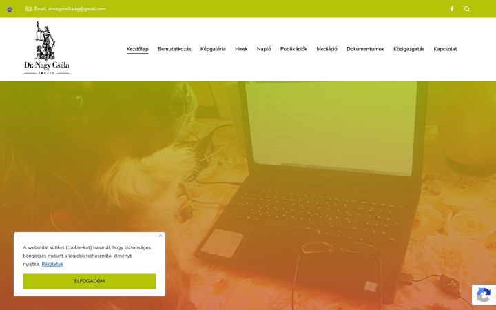 Screenshot of drnagycsillajogasz.hu