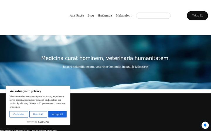 Screenshot of drnaildeniz.com