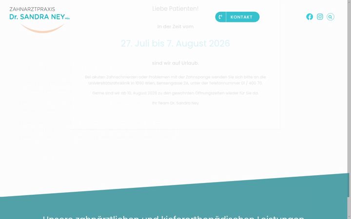 Screenshot von drney.at