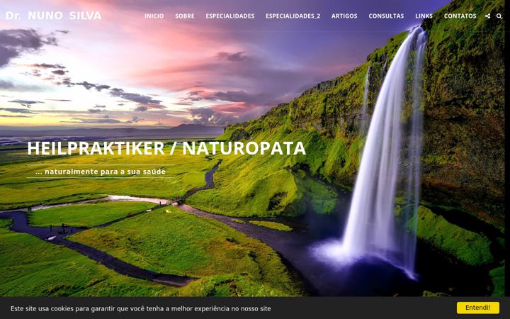 Screenshot of drnunosilva.com