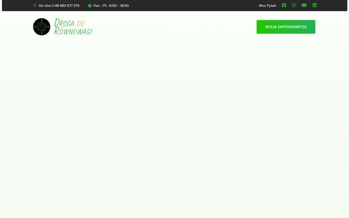 Screenshot ta' drogadorownowagi.pl