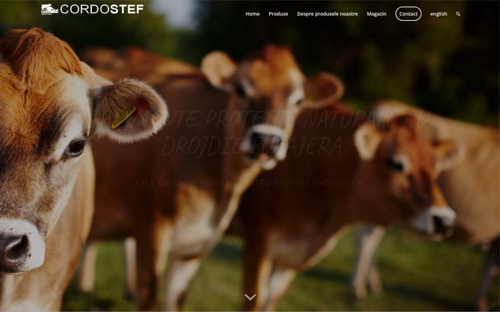 Screenshot of drojdiifuraje-cordostef.ro