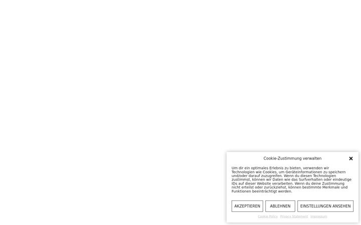 Screenshot of dromwerk.com