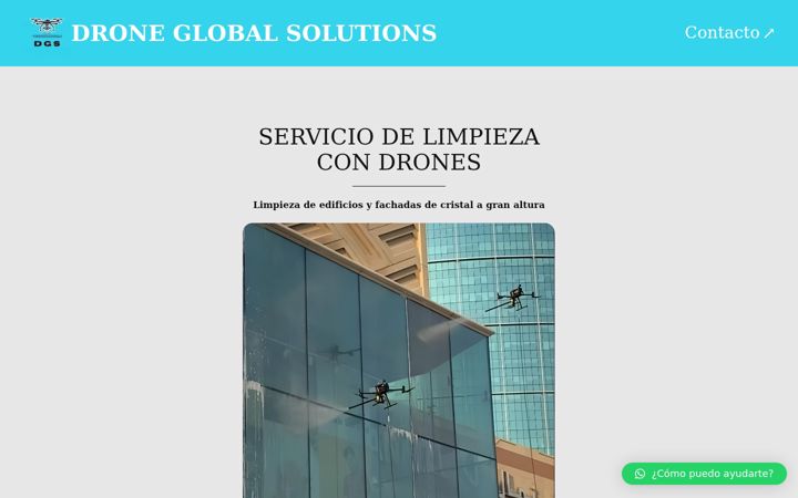 Screenshot of droneglobalsolutions.com