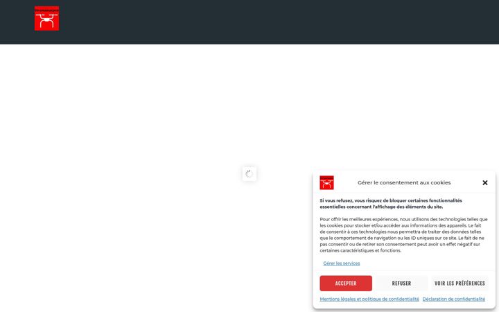 Screenshot of droneserpro.com