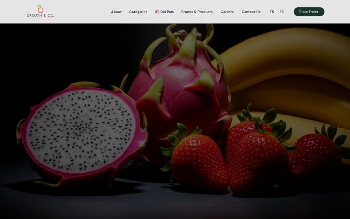 Screenshot of drouyn.com