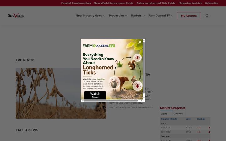 Screenshot of drovers.com