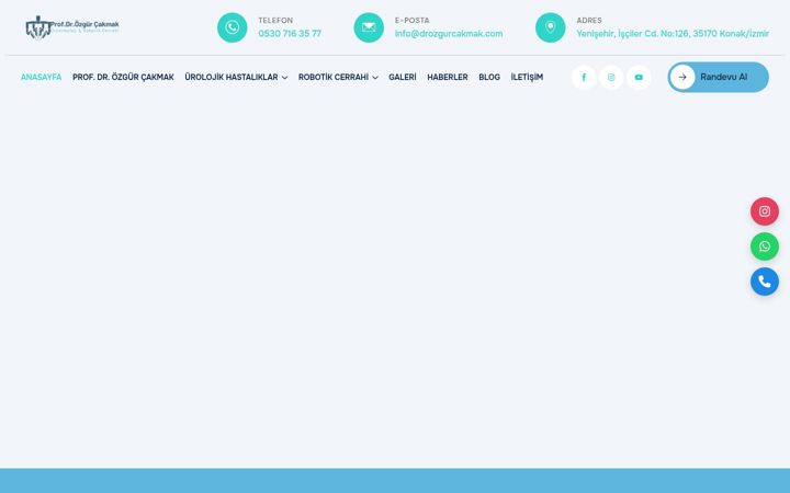 Screenshot of drozgurcakmak.com